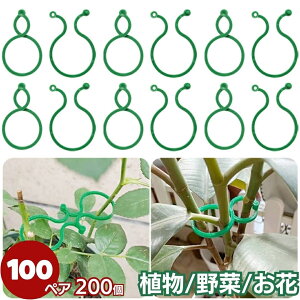 A  z_[ tbNO 4cm 100yAZbg K[fjO K[f x  O[