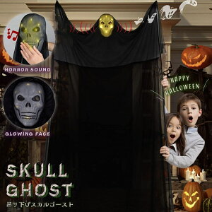 nEB XJS[Xg TEh&Cg ݂艺 l` _ h[ u ɐ_ O[p[