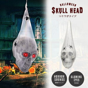 nEB XJwbhS[Xg zCglbg ݂艺 N l` _ h[ u ɐ_