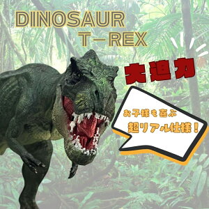 ߋ  A eBmTEX { 30cm TbNX u