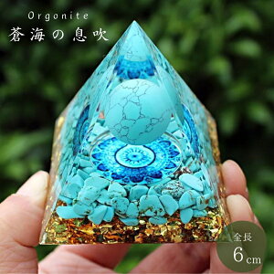 ISiCg C̑ 6cm F Xg[ GlM[   u Xg[ `N K^ 