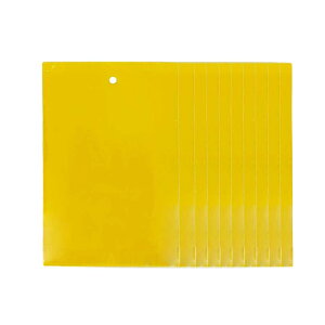 悯 SV[g V[g^Cv [Ver2[ 15cm XgO F 10Zbg  ʃe[v Q