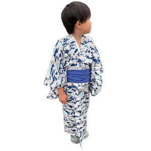 qp   T[tB  L +@+ 3_Zbg  id