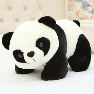 ʂ p_ pp_ 70cm   NbV   Aj}