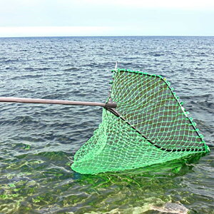  ^  lbg l傫 Ԃ̃^ ނ ނ