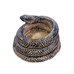 `FX {[h ؐ ^ ܂ RpNg ] l  }Olbg  vl Q[