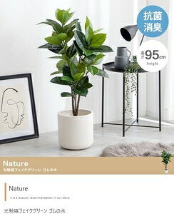 y95cmzNature G}lHϗtA S̖ O[