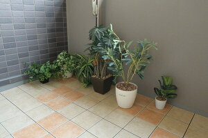 MINE 퐻WCg^C(10) \tgN[