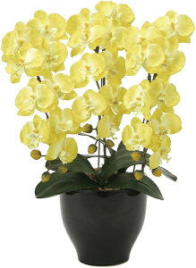 G}HA[gt[ ӒZ[X zCg×ԃbv