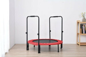 ���肷��t���g�����|����