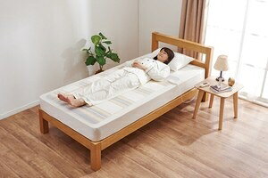 ���������d�C�~�ѕz