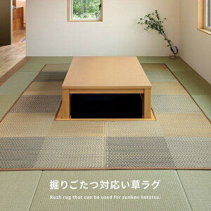 y @育Ή zO \ u[ s͗l 191×300cm
