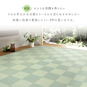 PP~ Ԃ OK R hL uqԁv O[ {6