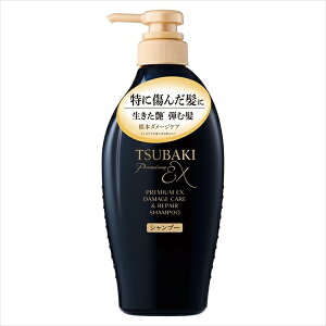 TSUBAKI@v~AEX@_[WPAyA@Vv[ yVv[z