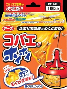 RoGzCzC y A[X z y E܁ERoG z