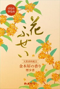 �Ԃӂ����@���؍ҁ@�������@���p��^ �y �J�����} �z �y ������ �z