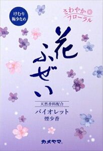 Ԃӂ@oCIbg@@p^ y J} z y  z