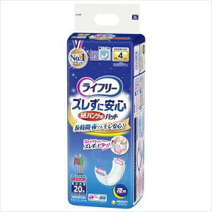 Ct[YɈSpcpAƂpbhp20 y lpIc z