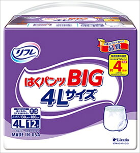 t@͂pcBIG@4LTCY@12 y uhDR[|[V z y lpIc z