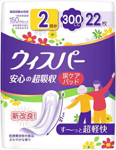 EBXp[S̒z@300cc@22 y PG z y pi z