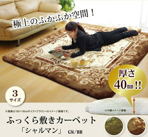 y{zYŖ40mmgp O ӂɌ~zc wV}x@195×195cmuE