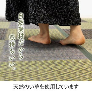 O Ԃ J[ybg O iq s ws[Ax@O[ {3i191×286cmj