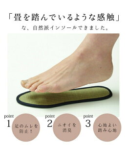 C\[ WjA Y fB[X L R wC\[x lCr[ wC\[x@lCr[ 29cm