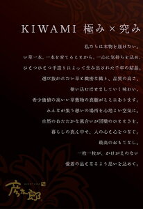 ���O ���Y ���� �J�[�y�b�g �� �w�O�����x�@�C�G���[ ��191×250cm
