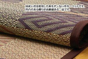 Y ԂJ[ybg wܕx@uE ]ˊ6(261×352cm)