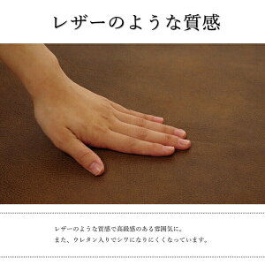 yVzh~ R VɂȂɂ ɂ wXNb` \t@[Jo[ ʁx@_[NuEiO[j 50×370cm