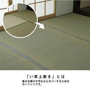  ~ J[ybg  RۖhL L ѐKOBA-GUARD wRoK[h~x@]ˊ6(261×352cm)