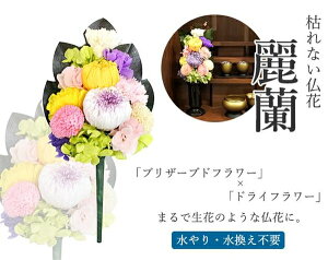 ͂Ȃԁ@헖iꂢj TCY