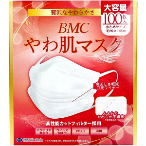 BMC 픧}XN 1g^Cv ߃TCY e 100