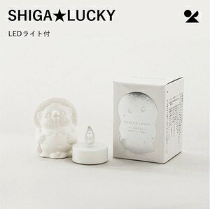 SHIGALUCKY (LEDCgt) My { Myʂ SHIGALUCKYiLEDCgtj
