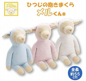 nishikawa y  zЂ iRj܂ u[S55cm