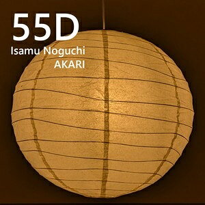 ���C�T���m�O�`�@���v���_�N�g�� AKARI 55D �y���_���g���C�g 55D