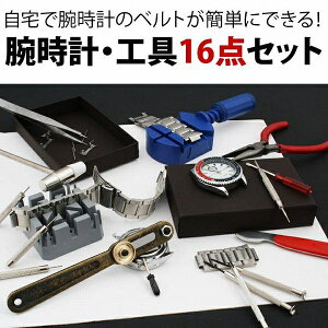 rvH t Řrv̓dr xg\ rvpH16_Zbg vCH