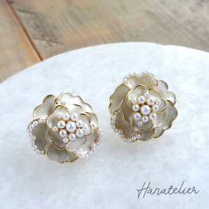 ɏp[̃x[WEJAsAX@pie156@H\@wȂǂ̃Zj[Ɂ@SILVER925|Xg