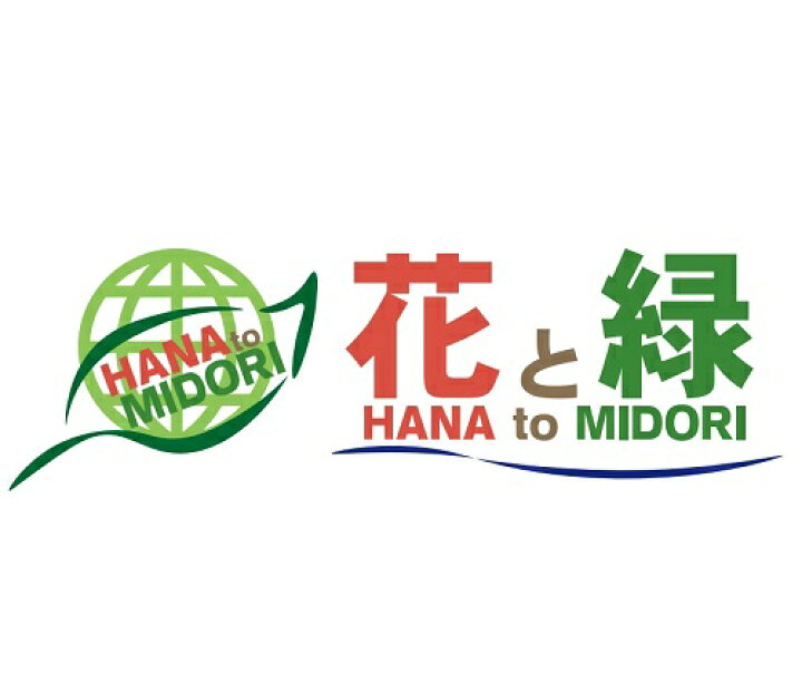 楽天市場 リュウノヒゲ 9cmポット 56本セット T1送料無料 りゅうのひげ 竜のひげ こちらは本物の竜のひげです 手入れが楽で玉竜に比べ葉が長いです 苗 植木 苗木 グランドカバー 下草 寄せ植え 低木 花と緑