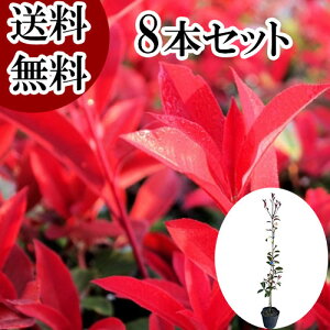 yzy8{Zbgz bhr 1.0mO 15cm|bg ǂт xjJi` xjJi ǂт c A c  _ ډB