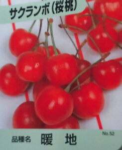 yzy P i z TN{ gn 0.5mO 15cm|bg   ږؕc c A c  ʎc ʎ 