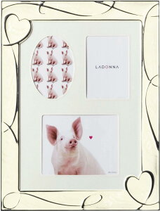 LADONNA hi rO tHgt[ zCg 6ؔ 3 NP08-06-WH