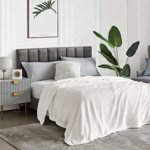 Hansleep 毛布 ダブル 冬用 白 ブランケット マイクロファイバー 柔らかく肌触り フランネル 洗える 静電防止 四季適用 (180x200,ホワイト)