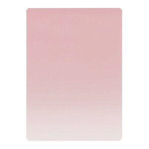 ���h�v���X�`�b�N B5�T�C�Y ���~�� �j���A���X�J���[ �y�V�i�����V���K�[�z���{�� �������� NS-B5-03