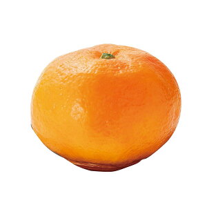 Tj[ A  y { { ~ ފ Q   Ȃ t[c    d  ݂   Q  ybg 茳