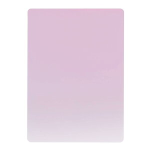 ���h�v���X�`�b�N B5�T�C�Y ���~�� �j���A���X�J���[ �y�X�~���z���{�� �������� NS-B5-01