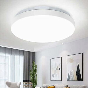 Depuley LEDV[OCg 4.5 6 F ^ 20W  k y 5700k~6000k 1200lm ی^ ǃXCb`  Q  a m R ȒPt Hsv ȃGl RXp