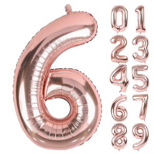 Lausatek o[ A~D 6 io[ 40C` 傫 a nbs[o[Xf[ t LO p[eB[ 90cm [YS[h