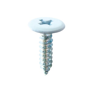 _Ch[ng (DAIDOHANT) (⋭) ^bsOrX2×4pJT3-WH4mm×12mm(28{) 10179083