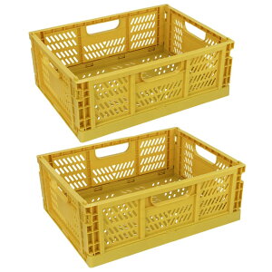 肽݃Rei 18L [{bNX 2Zbg ܂ݎ t ςݏd Rei [P[X  JS IR gݗĊȒP 30×s40×15cm (CG [)